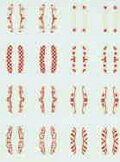 Long shields, common Gallic/German