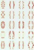 A mix of shield shapes and patterns. Does 20 figures.