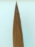 Paint brush sable size 1