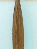Paint brush sable size 2